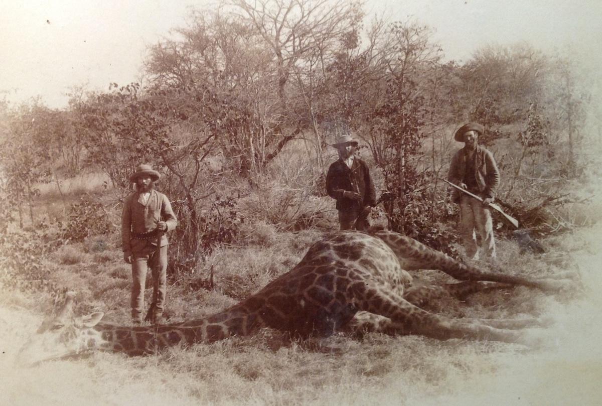 Hunter And Hunted Photographed Early South African Hunting